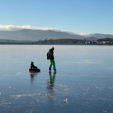 Unique Lipno Apartment Černá v Pošumaví Zewnętrze zdjęcie