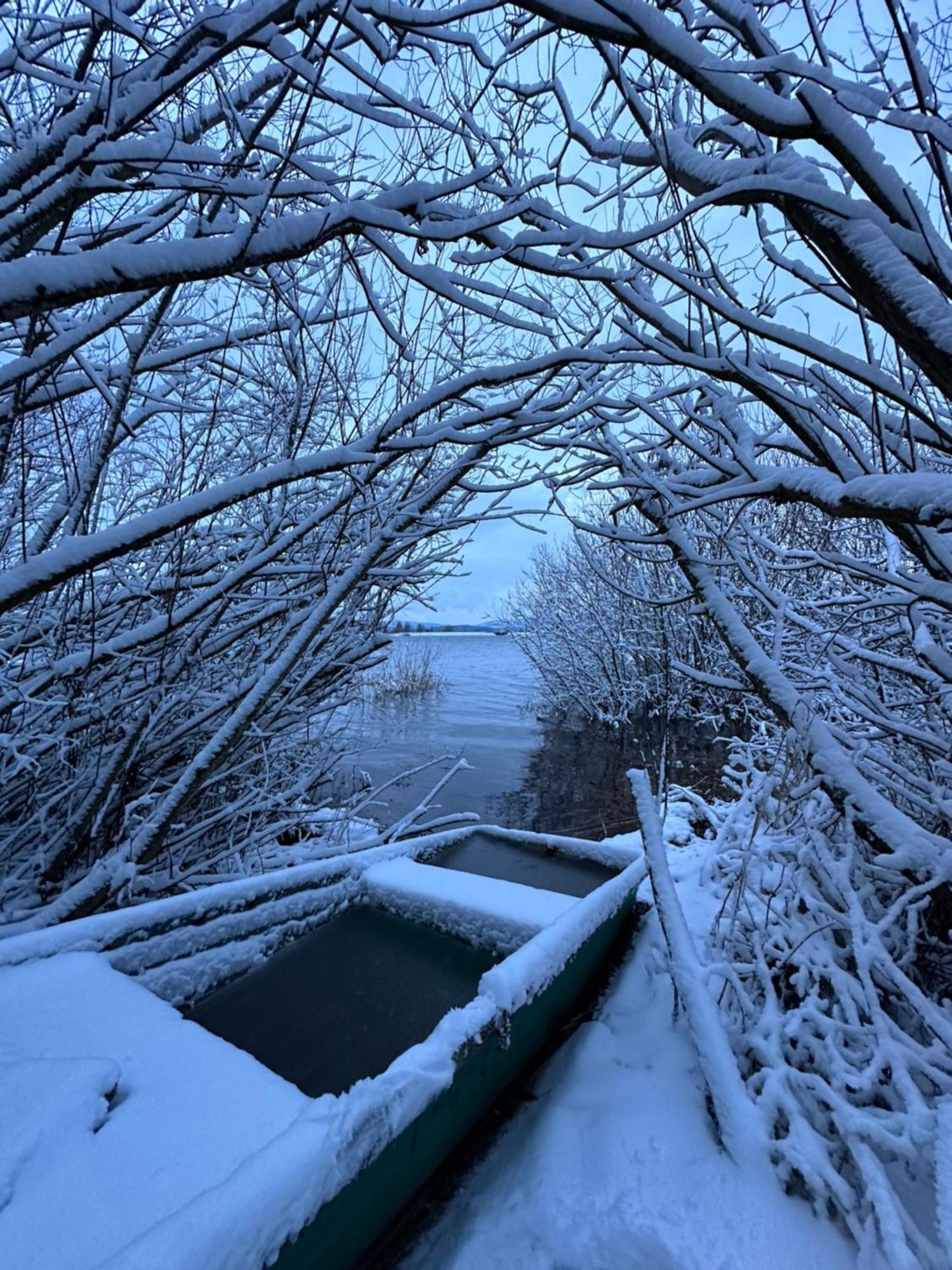 Unique Lipno Apartment Černá v Pošumaví Zewnętrze zdjęcie